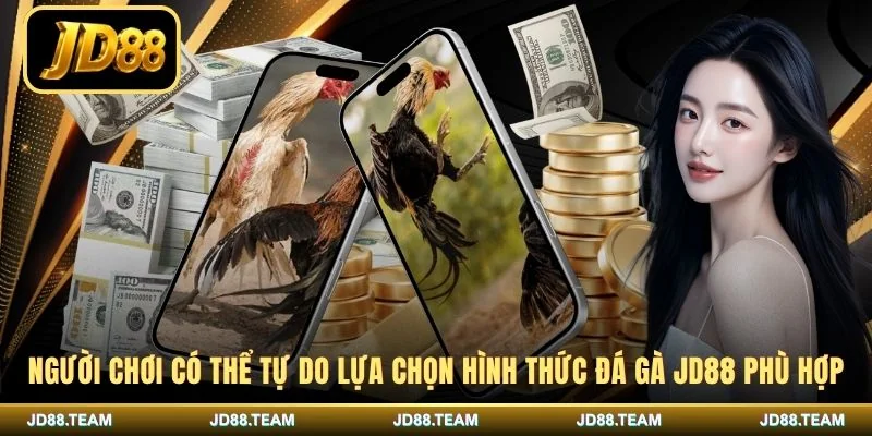 Người chơi có thể tự do lựa chọn hình thức đá gà JD88 phù hợp
