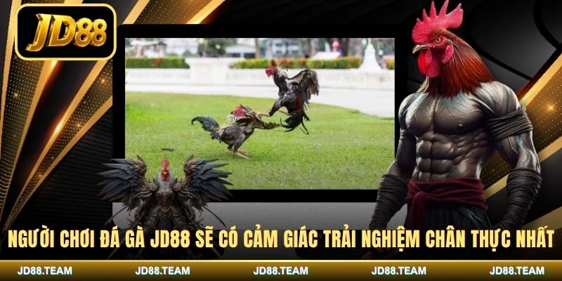 Người chơi đá gà JD88 sẽ có cảm giác trải nghiệm chân thực nhất