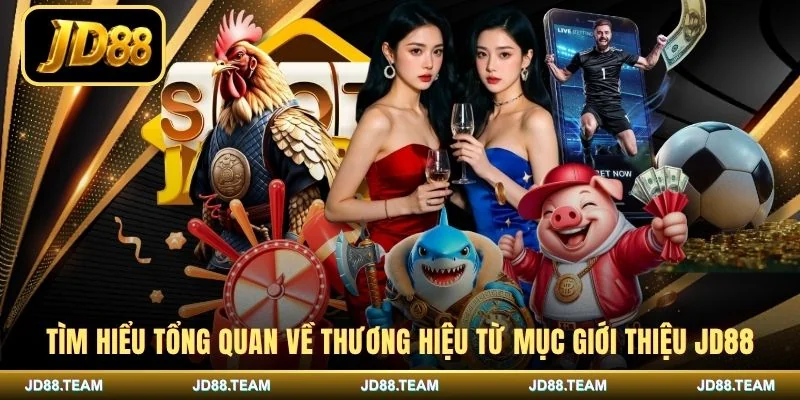 Tìm hiểu tổng quan về thương hiệu từ mục giới thiệu JD88